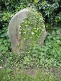 image of grave number 250490